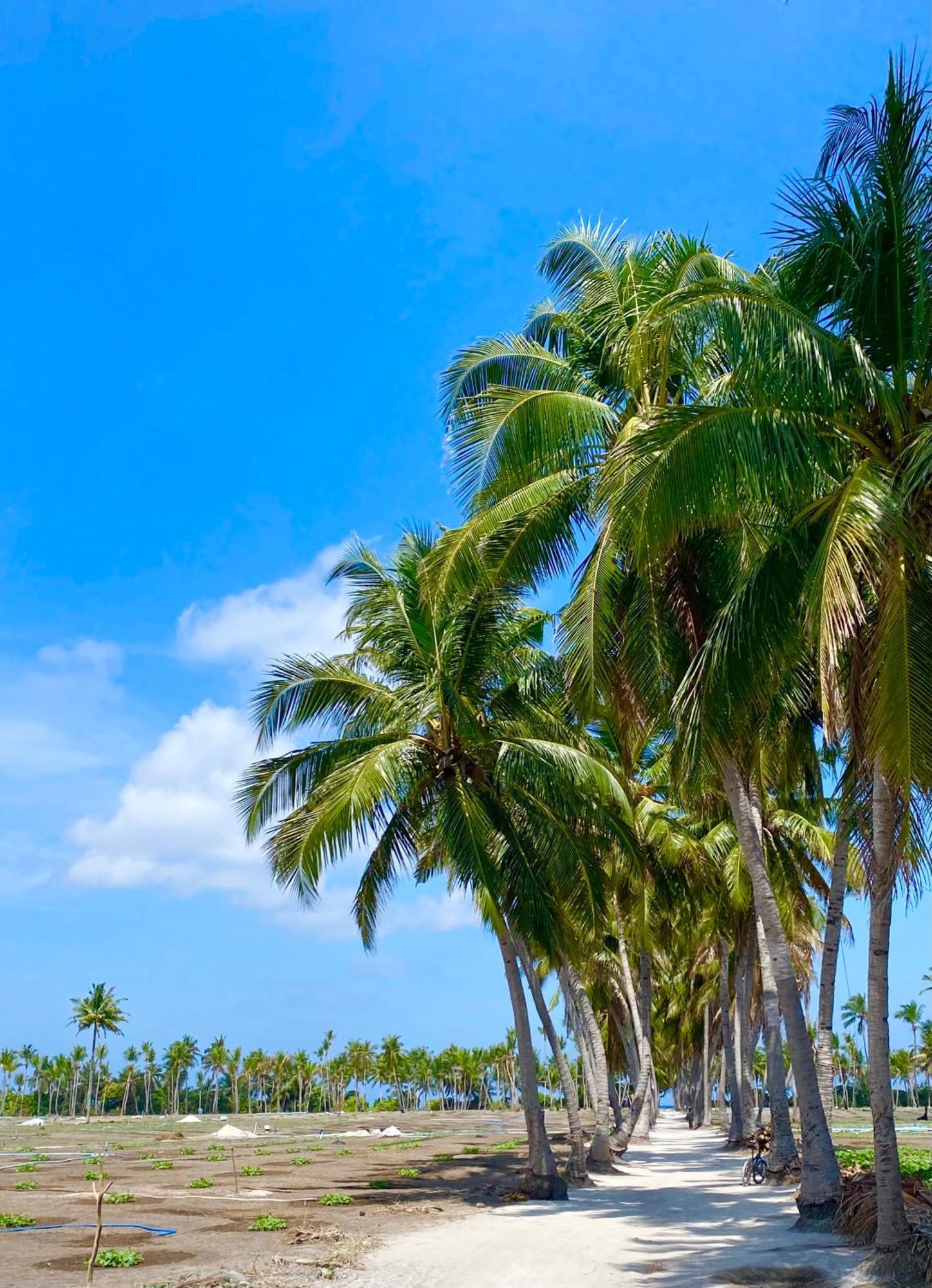 Sorenzo Maldives Thoddoo Zewnętrze zdjęcie